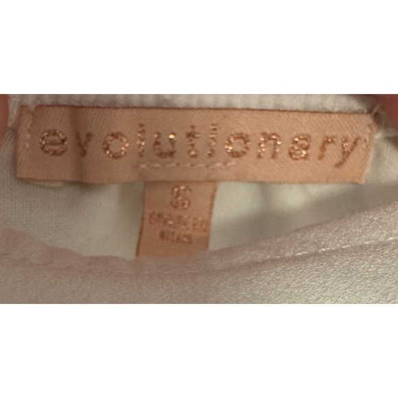 Evolutionary White Crop Top‎ Sheer Polka Dot Puff Sleeve Square Neck - Picture 2 of 5